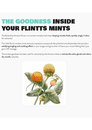 Flintts Mints Mouth Watering Oral Delights