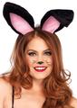 Leg Avenue Plush Bunny Ears - Black - One Size