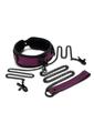 WhipSmart Dragon's Lair Collar, Leash and Nipple Clips