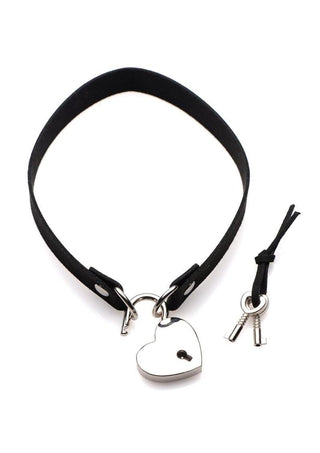 Master Series Lock-It Heart Lock and Key Choker