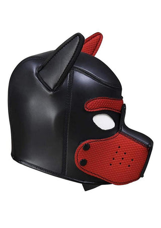 Ouch! Neoprene Puppy Hood