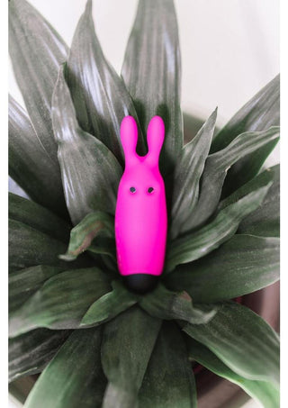 Pocket Vibe Silicone Vibrator