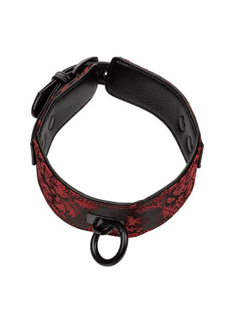 Scandal Collar with Leash